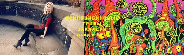 тгк Елабуга