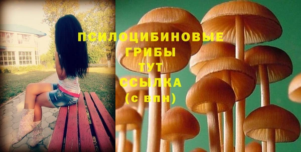 винт Дмитров