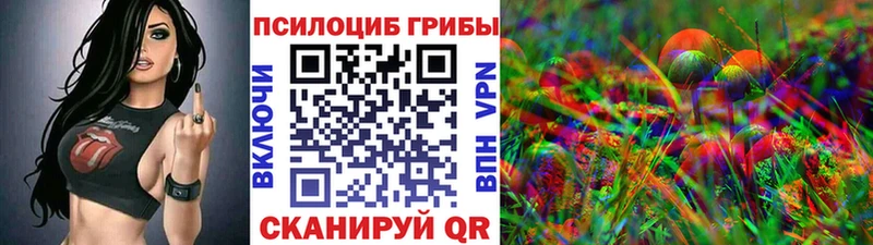 Купить закладки  Ноябрьск  Псилоцибиновые грибы Psilocybe 
